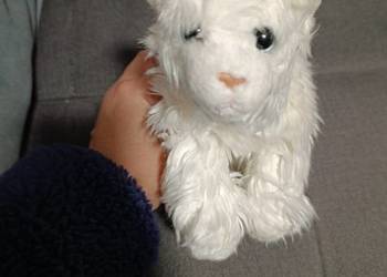 kot biały pluszak maskotka zabawka pluszowa