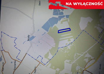 Działka leśna 3,90 ha w Brodach gm. Pierzchnica.