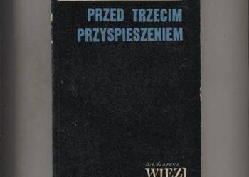 Przed trzecim przyspieszeniem - Wielowieyski