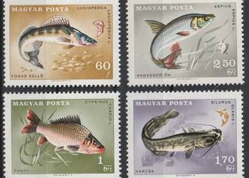 WĘGRY - Wędkarstwo - 1967 - CZYSTE **