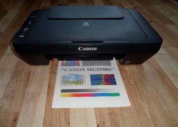 Drukarka CANON MG2550S