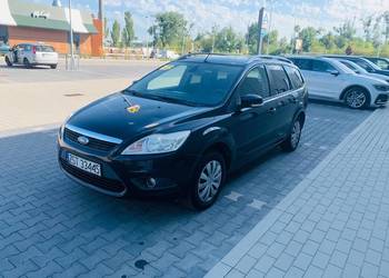 Ford focus kombi do wypożyczenia