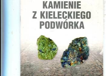 Kamienie z kieleckiego podwórka - Jerzy Jędrychowski