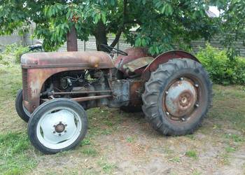 Massey Ferguson tea 20
