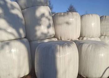 Sprzedam bele sianokiszonka