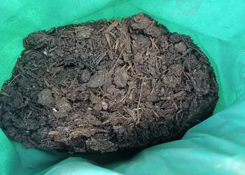 Obornik bydlęcy, przekompostowany, mielony