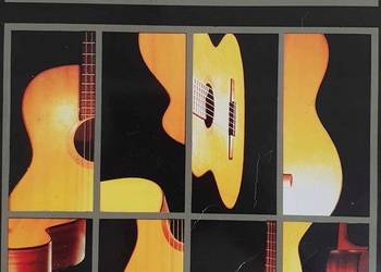 GITARA Z NAUCZYCIELEM I BEZ - ZIEMLAŃSKI ROMAN GITARA Z NAUCZYCIELEM I BEZ - ZIEMLAŃSKI ROMAN