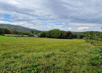 Działka Zegartowice 4000m2