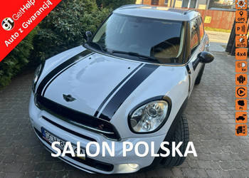 Mini Countryman S 190KM, ALL4, polski salon, klimatronik,biksenony, duże r…
