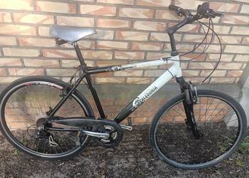 Rower Caledonia koła 28 cali.