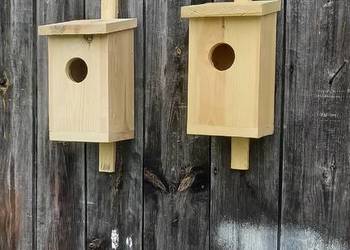 Budki lęgowe dla ptaków
