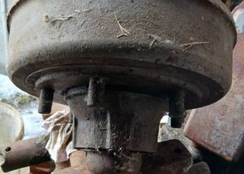 Piasto Bęben polski