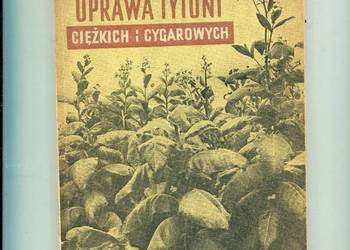 Uprawa tytoni ciężkich i cygarowych - Trzciński