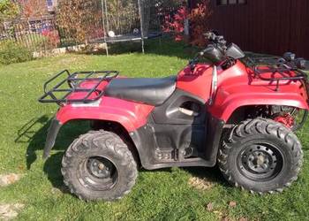 Quad Suzuki Eiger