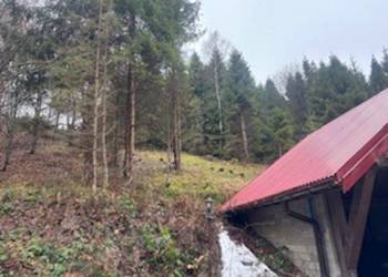 Syndyk Sprzeda udział 1/2 - działka - I Przetarg