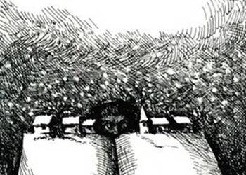 ALICJA W KRAINIE LITER - TOPOR ROLAND