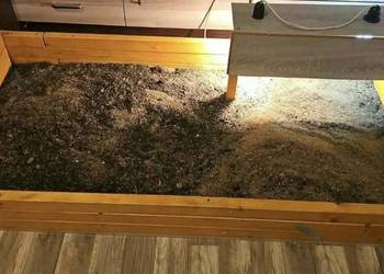 Terrarium duże wymiary 160x80x17