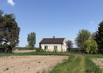 Siedlisko z lasem i łąką - Zawady gm. Kampinos