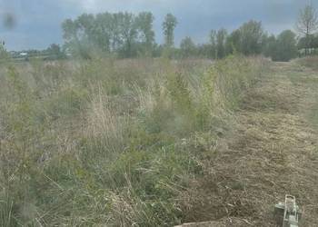 Koszenie nieużytków łąk zarośli