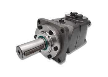 SILNIK Hydrauliczny BM6 250 cm3 GR4 [4118]