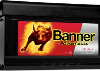Akumulator 80Ah 700A Banner Power Bull PRAWY PLUS