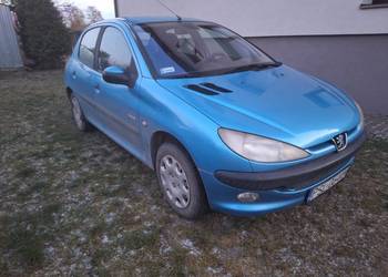 Peugeot 206 HUSKY