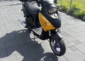Maxim ambasador