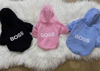 Nowa bluza ubranko dla psa Boss XS-2XL