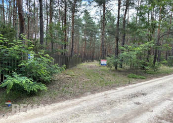 Działka leśna w Ryni, gmina Dobre – 6 379 m²