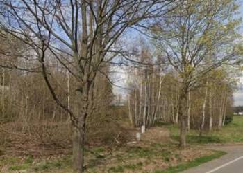 Budzyń - Przytyki - sprzedam 5 działek