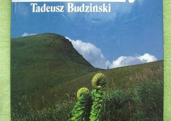 BIESZCZADY Tadeusz Budziński