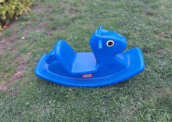 Sprzedam bujak konik