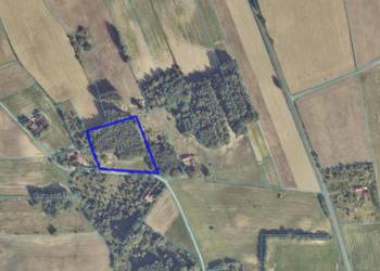 Na sprzedaż – działka budowlana z lasem, Racięcice, gm. Sompolno Na sprzedaż – działka budowlana z lasem, Racięcice, gm. Sompolno