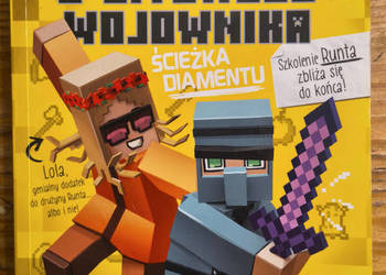 Pamiętnik 8-bitowego wojownika ścieżka diamentu Cube Kid