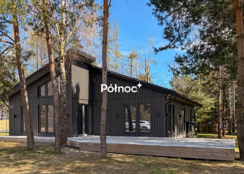 Skandynawski piękny dom wśród drzew Staw