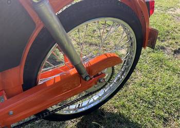 Komar  zarejestrowany