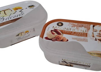 Pojemnik po lodach, 900ml, 12,5x19,2x6,5cm, 2szt. (Kreatywne)