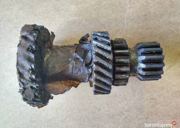 Zespół kół zębatych choinka ŻUK NYSA III 3-bieg.