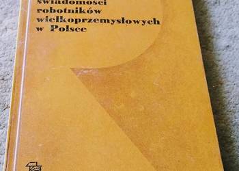 Obraz świadomości robotników wielkoprzemysłowych w Polsce :