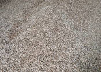 Jęczmień ozimy 2 rzędowy 2025