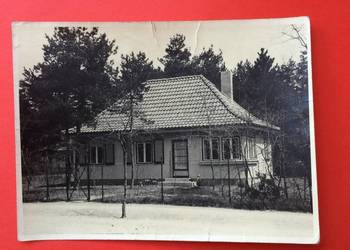 ( 104 ) Zdjęcie niemieckie