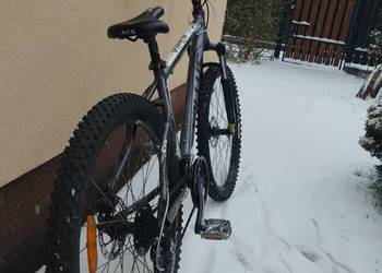 Kellys Viper 50