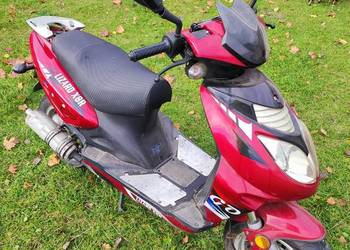 Skuter Lizard X8R baotian bt49qt-12 Skuter Lizard X8R baotian bt49qt-12