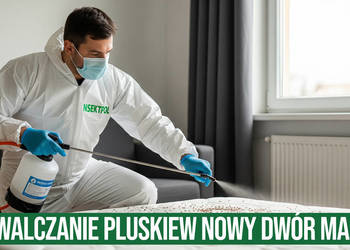 Zwalczanie pluskiew Nowy Dwór Mazowiecki - Odpluskwianie, Dezynsekcja