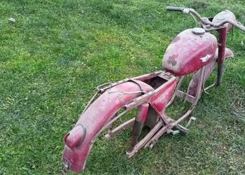 Wsk b1 bordowa wfm shl