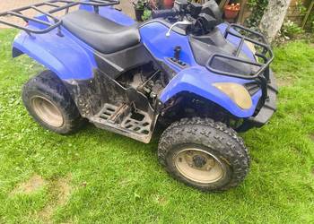 Quad Kymco mxu 300