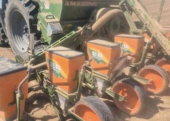 Siewnik Amazone ED 6001 do kukurydzy