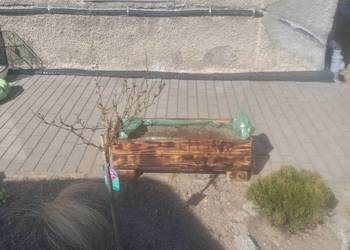 Doniczka wlasnego wykonania