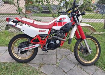 Yamaha XT 600 43F 81r