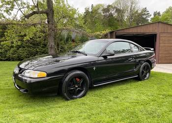 Ford Mustang V6 manual